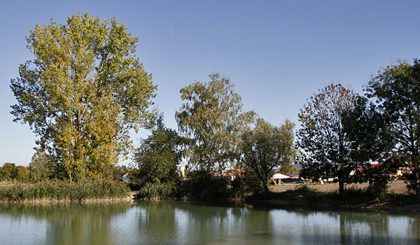 krebsensee