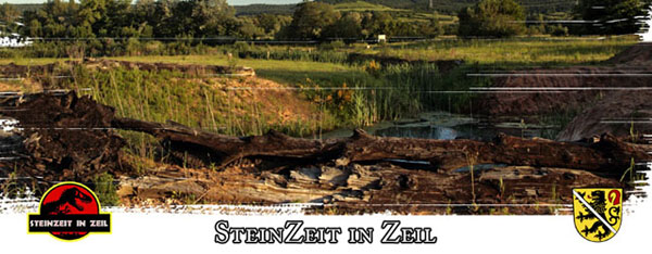 steinzeit