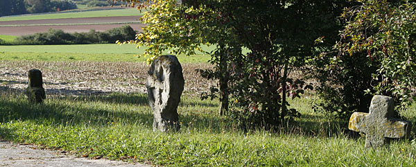 stettfeld