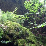 Back to the roots – Wandercache “Bilderbuchwanderung” von 123MAINE “Back to the roots – Damit sind unsere Caches gemeint. Waren unsere ersten verlegten Caches allesamt Wandercaches, so ist auch dieser wieder ein Wandercache, wie wir finden durch wunderschöne Landschaft.”...