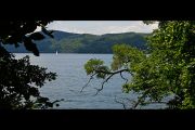Blick auf den Laacher See
