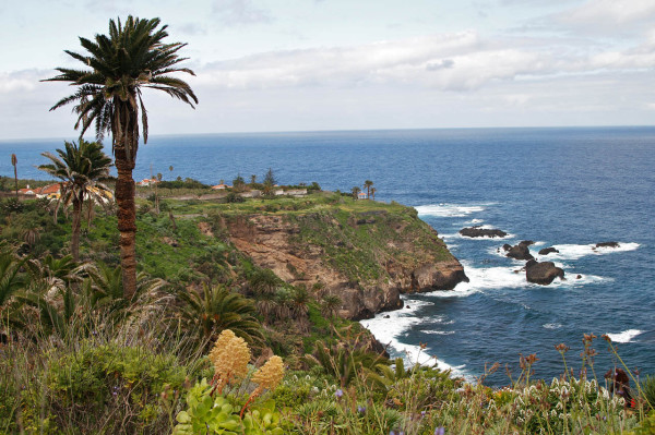 teneriffa30