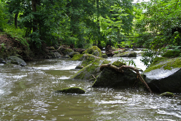 Rauscherpark