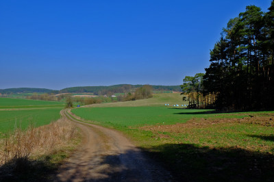 DSCF1457