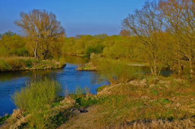 DSCF1488