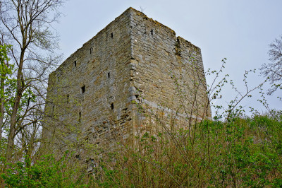 www.geolemminge.de