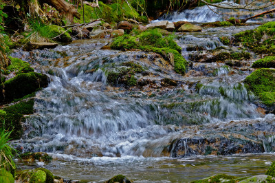 www.geolemminge.de