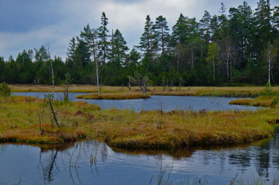 www.geolemminge.de