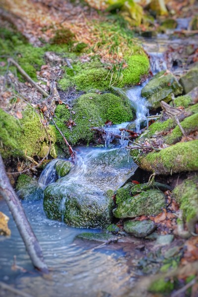 2016_0227_11020300-01